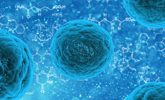 脂肪由来幹細胞治療のイメージ画像
